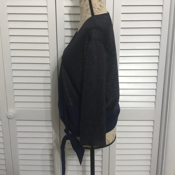 Sachin + Babi Shimmer Blouse - Picture 2 of 6